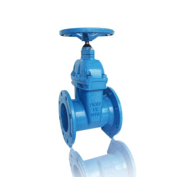 Çevik Paz Gate Valve